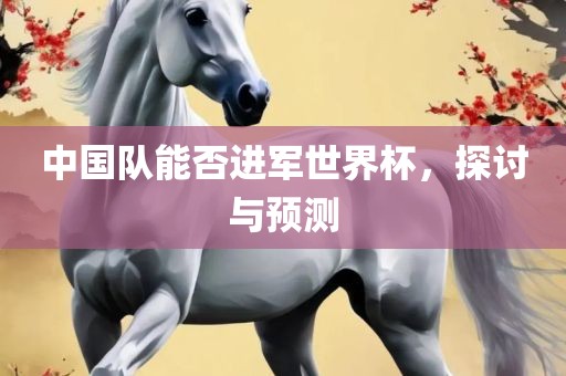 中国队能否进军世界杯，探讨与预测眉山市正发家政服务有限公司