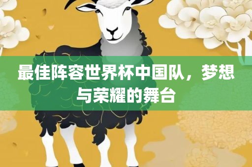 最佳阵容世界杯中国队，梦想与荣耀的舞台眉山市正发家政服务有限公司