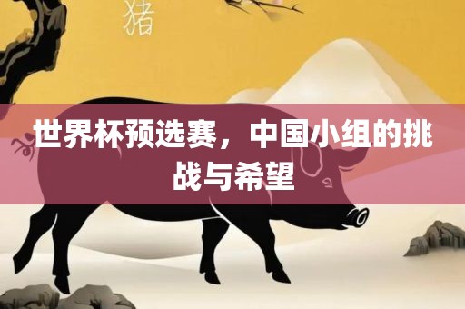 世界杯预选赛，中国小组的挑战与希望眉山市正发家政服务有限公司
