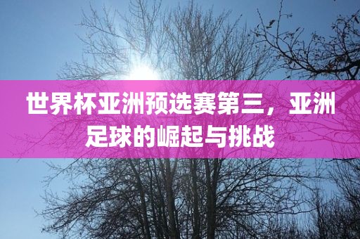 世界杯亚洲预选赛第三，亚洲足球的崛起与挑战
