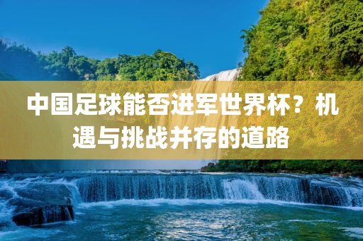 中国足球能否进军世界杯？机遇与挑战并存的道路眉山市正发家政服务有限公司