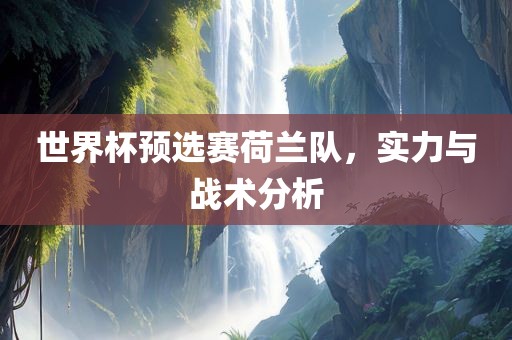 世界杯预选赛荷兰队，实力与战术分析眉山市正发家政服务有限公司