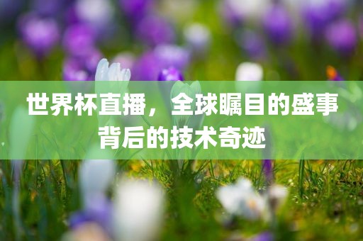 世界杯直播 第7页