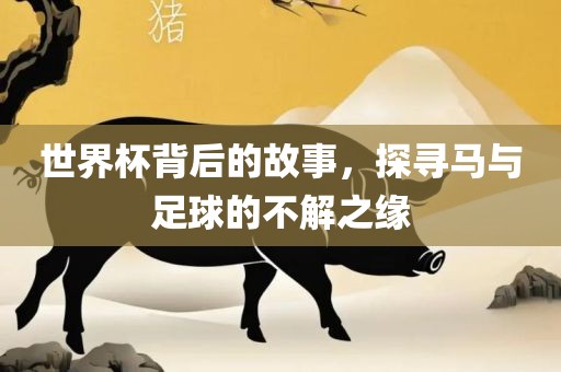 世界杯背后的故事，探寻马与足球的不解之缘眉山市正发家政服务有限公司