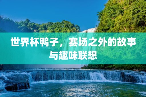 世界杯鸭子，赛场之外的故事与趣味联想眉山市正发家政服务有限公司