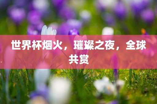 世界杯烟火，璀璨之夜，全球共赏