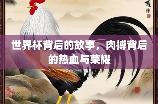 世界杯背后的故事，肉搏背后的热血与荣耀