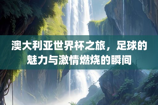 澳大利亚世界杯之旅，足球的魅力与激情燃烧的瞬间