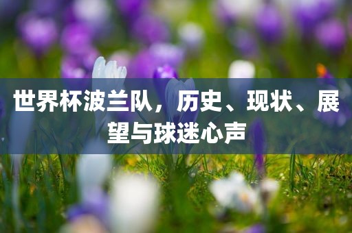 世界杯波兰队，历史、现状、展望与球迷心声