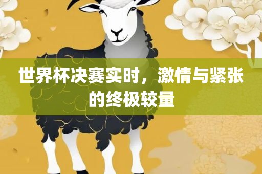 世界杯决赛实时，激情与紧张的终眉山市正发家政服务有限公司极较量
