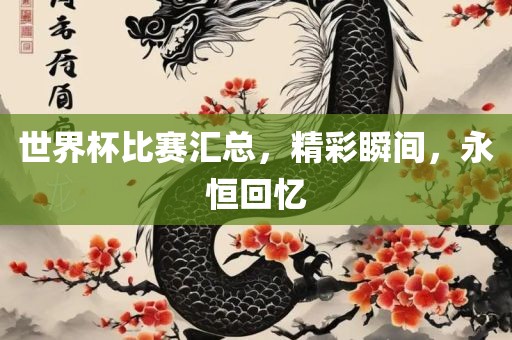 世界杯比赛汇总，精彩瞬间，永恒回忆眉山市正发家政服务有限公司