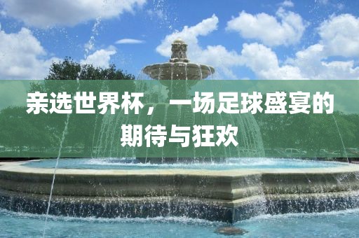 亲选世界杯，一场足球盛宴的期待与眉山市正发家政服务有限公司狂欢