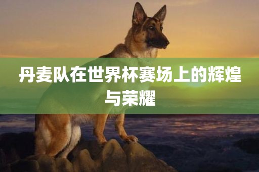 丹麦队在世界杯赛场上的辉煌与荣耀眉山市正发家政服务有限公司