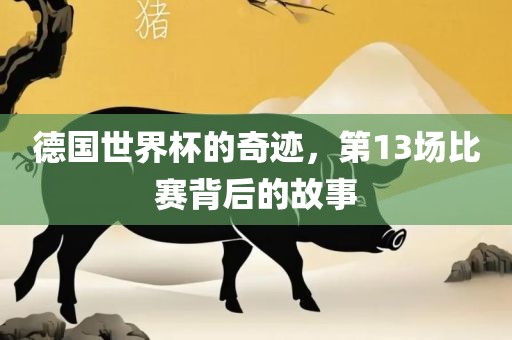 德国世界杯的奇迹，第13场比赛背后的故事眉山市正发家政服务有限公司