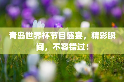 青岛世界杯节目盛宴，精彩瞬间，不容错过！眉山市正发家政服务有限公司