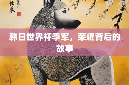 韩日世界杯季军，荣耀背后的故事