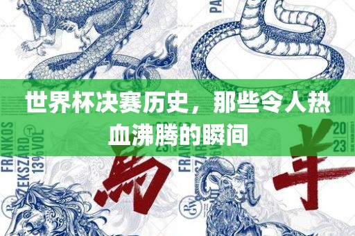世界杯决赛历史，那些令人热血沸腾的瞬间眉山市正发家政服务有限公司