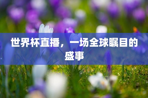 世界杯直播，一场全球瞩目的盛事眉山市正发家政服务有限公司