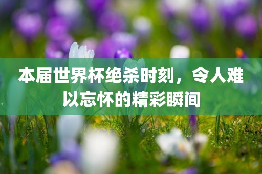 本届世界杯绝杀时刻，令人难以忘怀的精彩瞬间眉山市正发家政服务有限公司