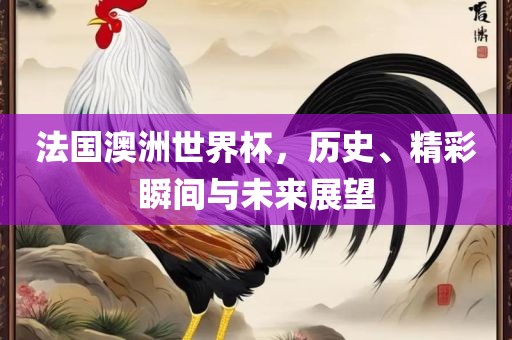 法国澳洲世界杯，历史、精彩瞬间与未来展望眉山市正发家政服务有限公司