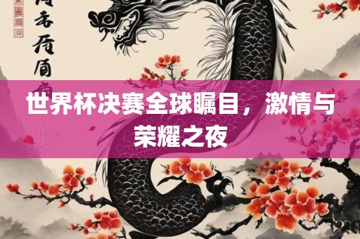世界杯决赛 第5页