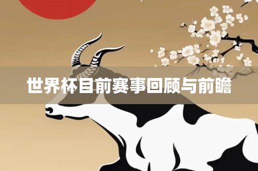 世界杯目前赛事回顾与前瞻眉山市正发家政服务有限公司