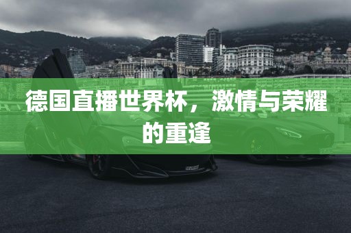 德国直播世界杯，激情与荣耀眉山市正发家政服务有限公司的重逢