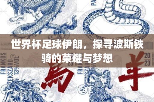 世界杯足球伊朗，探寻波斯铁骑的荣耀与梦想眉山市正发家政服务有限公司