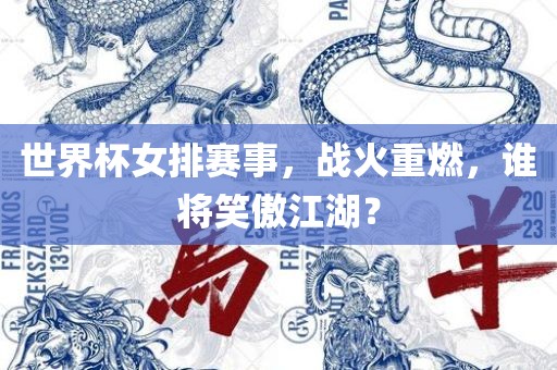 世界杯女排赛事，战火重燃，眉山市正发家政服务有限公司谁将笑傲江湖？