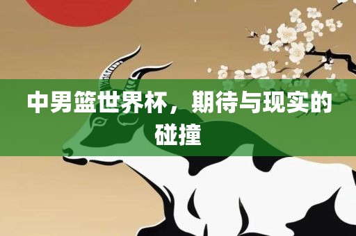 中男篮世界杯，期待与现实的碰撞