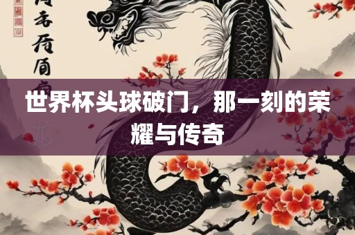 世界杯头球破门，那一刻的荣耀与传奇眉山市正发家政服务有限公司