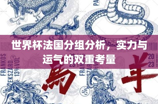 世界杯法国分组分析，实力与运气的双重考量眉山市正发家政服务有限公司