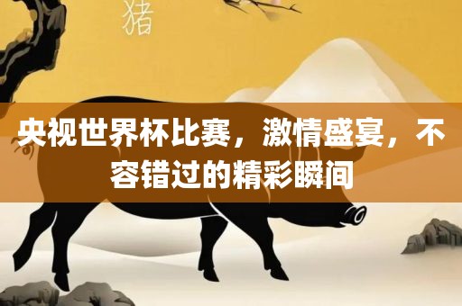 央视世界杯比赛，激情盛宴，不容错过的精彩瞬间眉山市正发家政服务有限公司