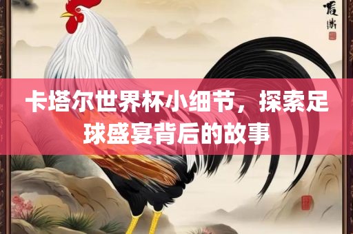 卡塔尔世界杯小细节，探索足球盛宴背后的故事
