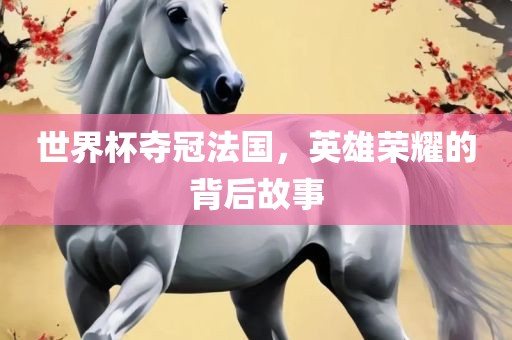 世界杯夺冠法国，英雄荣耀的背后故事