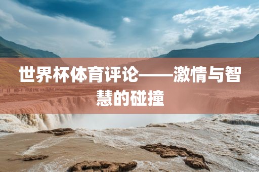 世界杯体育评论——激情与智慧的碰撞眉山市正发家政服务有限公司