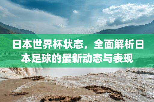 日本世界杯状态，全面解析日本足球的最新动态与表现眉山市正发家政服务有限公司