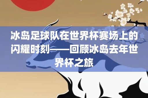 冰岛足球队在世界杯赛场上的闪耀时刻——回顾冰岛去年世界杯之旅