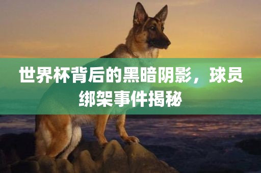 世界杯背后的黑暗阴影，球员绑架事件揭秘眉山市正发家政服务有限公司
