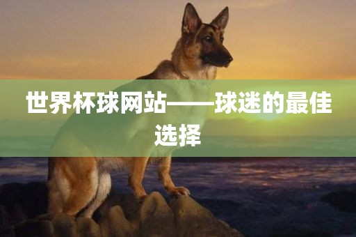 世界杯球网站——球迷的最佳选择眉山市正发家政服务有限公司