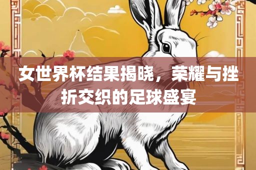 女世界杯结果揭晓，荣耀与挫折交织的足球盛宴