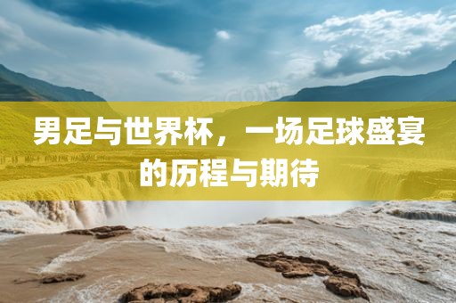 男足与世界杯，一场足球盛宴的历程与期待眉山市正发家政服务有限公司