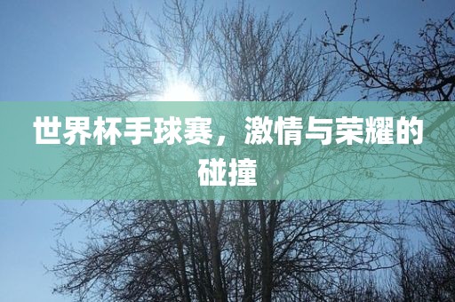 世界杯手球赛，激情与荣耀的碰撞