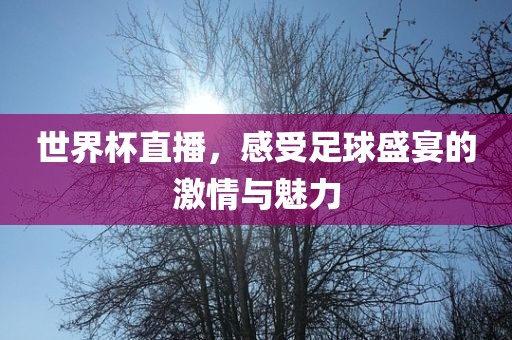 世界杯直播，感受足球盛宴的激情与魅力眉山市正发家政服务有限公司