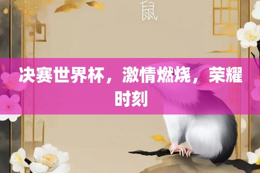 决赛世界杯，激情燃烧眉山市正发家政服务有限公司，荣耀时刻