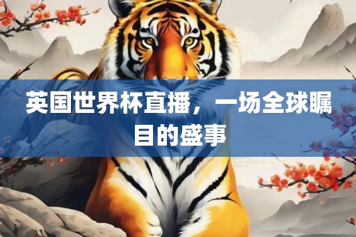 英国世界杯直播，一场全球瞩目的盛事眉山市正发家政服务有限公司