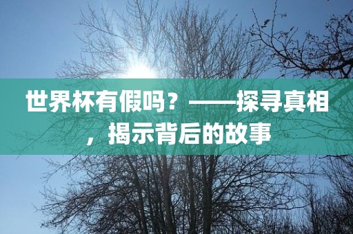 世界杯有假吗？——探寻真相，揭示背后的故事眉山市正发家政服务有限公司