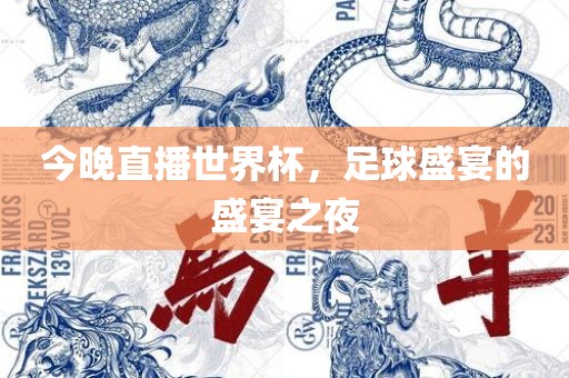 今晚直播世界杯，足球盛宴的盛宴之夜眉山市正发家政服务有限公司