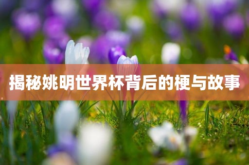 揭秘姚明世界杯背后的梗与故事眉山市正发家政服务有限公司