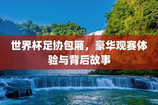 世界杯足协包厢，豪华观眉山市正发家政服务有限公司赛体验与背后故事